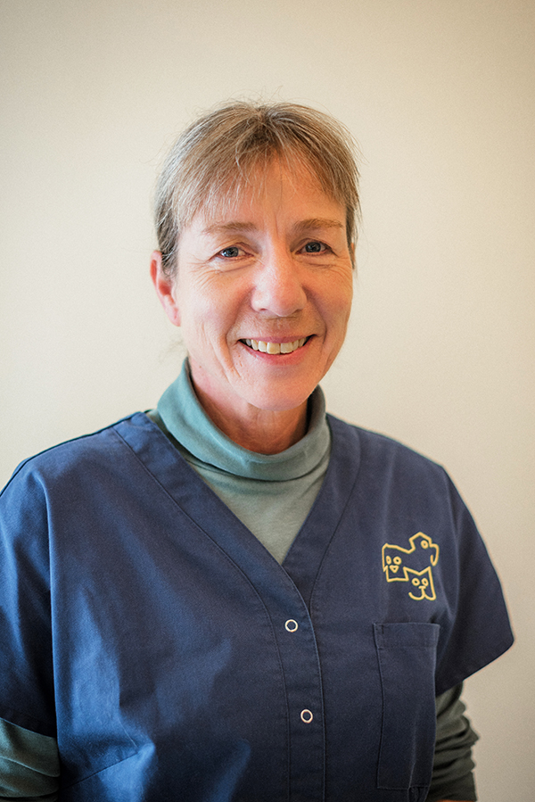 Dr. Regine Pflüger